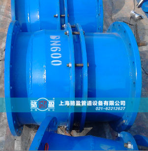 ���Tʥ����(j��)���Å^(q��)·�h(hu��n)�ӯDN600��λ��s��